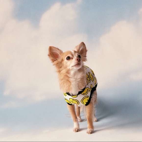 ZARA DOG T SHIRT - Picture 4 of 7